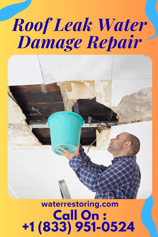 Roof Leak Water Damage Repair in Bonner Springs, KS